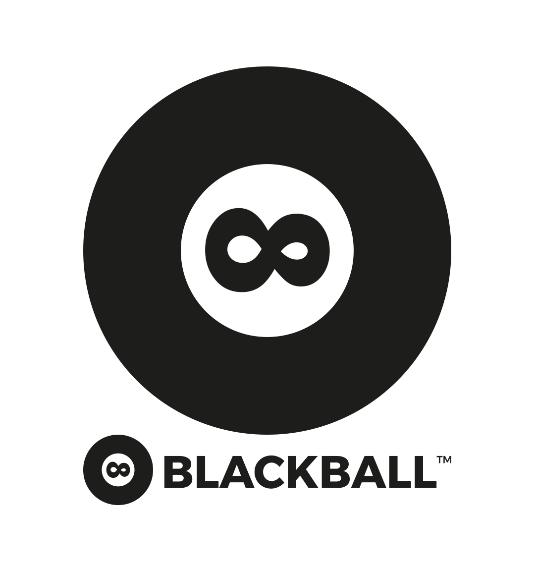 Big Slider Project Image